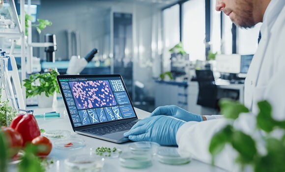 Fermentation elevated: precision analytics with mass spectrometry in the bio food revolution bio food revolution