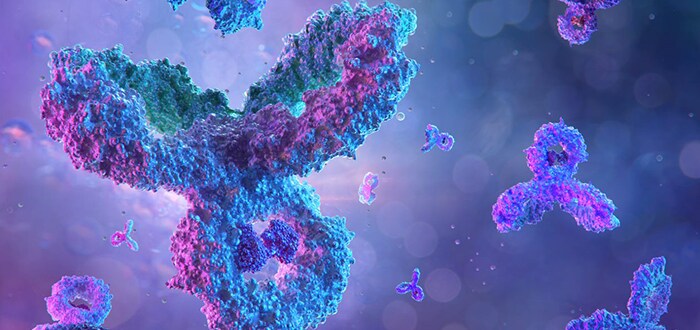 monoclonal-antibody-development monoclonal-antibody-development