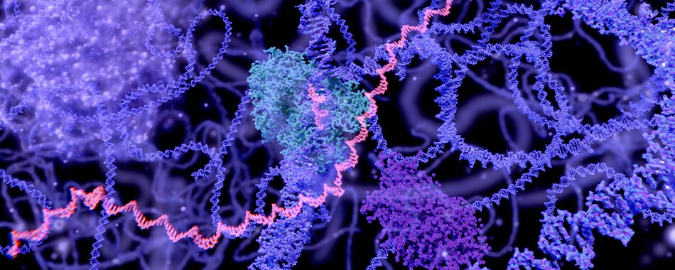pharma-bio-target-identification pharma-bio-target-identification