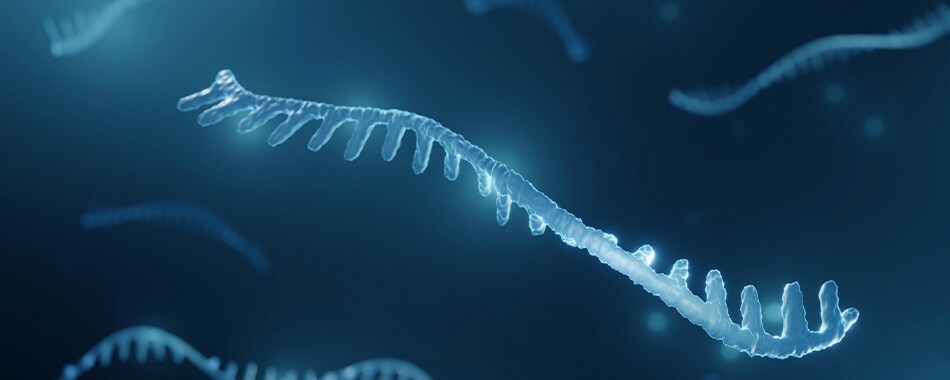 pharma-bio-biomarker-discovery pharma-bio-biomarker-discovery