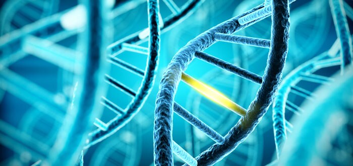 delivery-vector delivery-vector