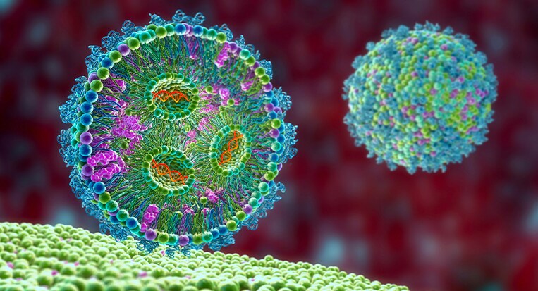 Graphic rendering of lipid nanoparticle Lipid nanoparticle delivering mRNA to a cell