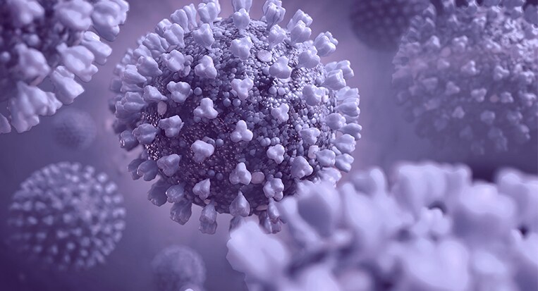 Graphic rendering of viral particles Graphic rendering of viral particles