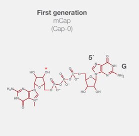 First generation mCAP Structural formula of a first-generation mCap analog used in the production of IVT mRNA
