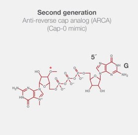 Second generation ARCA CAP Structural formula of Anti-Reverse Cap Analogs (ARCA) used during in vitro transcription