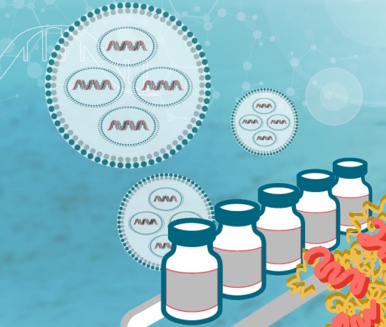 mRNA therapeutics mRNA vesicles and fill bottles