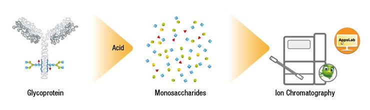 general-monosaccharides-and-sialic-acids-workflow-740x220 general-monosaccharides-and-sialic-acids-workflow-740x220
