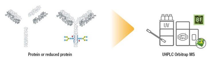 general-intact-mass-and-intact-glycopretein-workflow-740x220 general-intact-mass-and-intact-glycopretein-workflow-740x220
