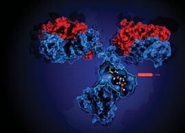 Biopharmaceutical Multi-Attribute Method Biopharmaceutical Multi-Attribute Method