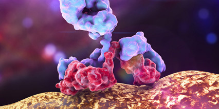 Lifetime stability of SEC columns for protein aggregate analysis Lifetime stability of SEC columns for protein aggregate analysis