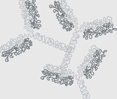 Protein Aggregate and Subvisible Particles Analysis Information Protein Aggregate and Subvisible Particles Analysis Information