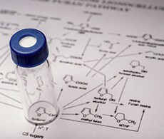 代谢物鉴定 代谢物鉴定