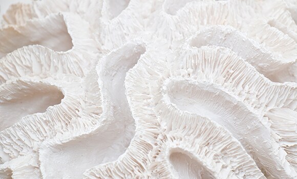 Proxies to reconstruct biological processes in the past Proxies to reconstruct biological processes in the past