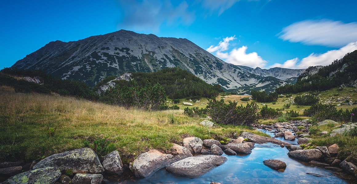 Biogeochemistry Biogeochemistry