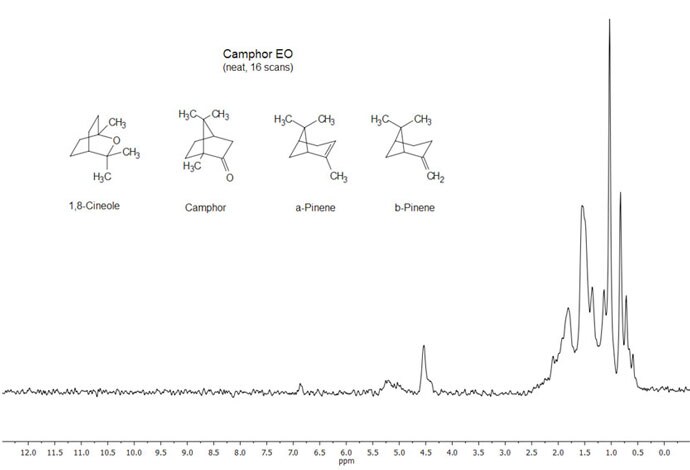 picoSpin Essential Oils Camphor picoSpin Essential Oils Camphor