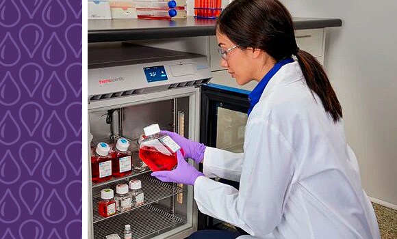 Sample storage Sample storage