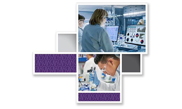 Sample Post-Analysis for Contract Testing Labs Sample Post-Analysis for Contract Testing Labs