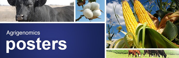 agri_web_new_posters-740x240 agri_web_new_posters-740x240