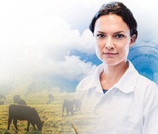 agrigenomics-qpcr-showcase-image-230x195 agrigenomics-qpcr-showcase-image-230x195