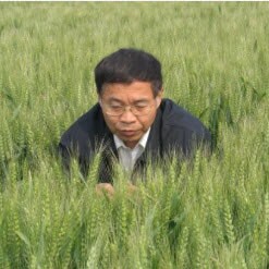 Professor Jizeng Jia Professor Jizeng Jia