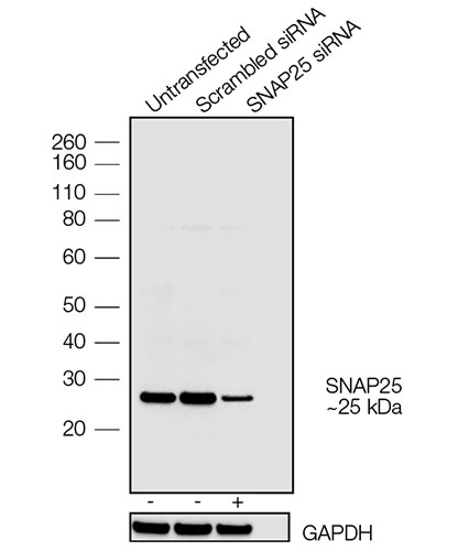 COL22112-Fig3 COL22112-Fig3