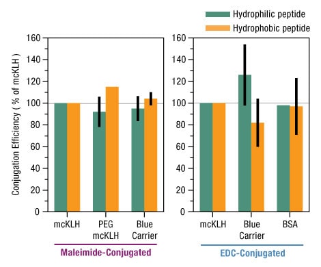 Figure 3. Similar conjugation efficiencies of carrier proteins with two different peptides. Figure 3. Similar conjugation efficiencies of carrier proteins with two different peptides.