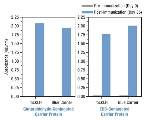 Figure 6. Thermo Scientific Imject Carrier Proteins elicit similarly strong immune responses. Figure 6. Thermo Scientific Imject Carrier Proteins elicit similarly strong immune responses.
