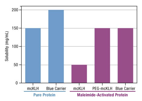 Figure 1. Solubility of Thermo Scientific Imject Carrier Proteins. Different proteins were added at 200mg/mL to ultrapure water and then incrementally diluted until they dissolved. Reported values are the highest concentrations at which the carrier proteins appeared fully dissolved.
