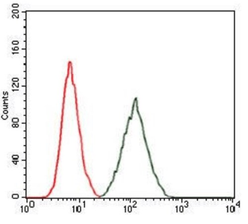 Flow cytometry analysis of Rap1 using MA5-17164 Flow cytometry analysis of Rap1 using MA5-17164