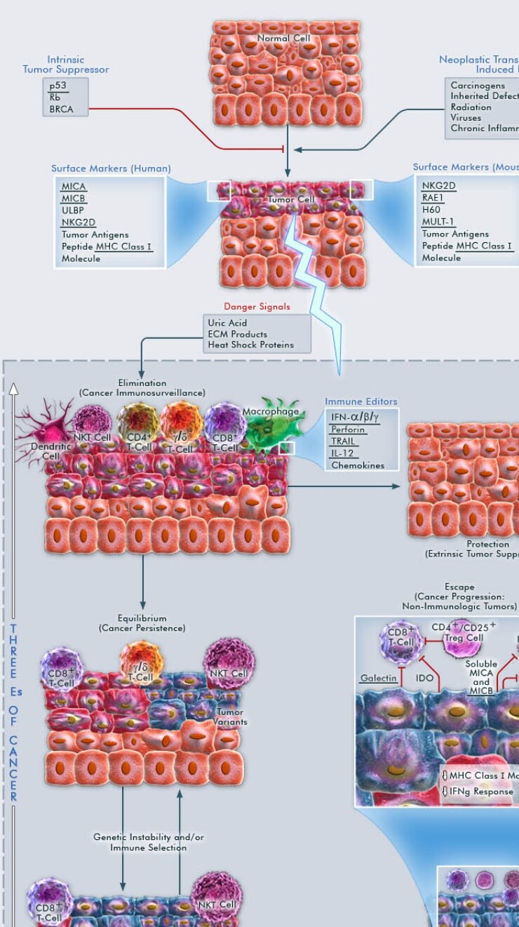 Cancer Immunoediting Cancer Immunoediting