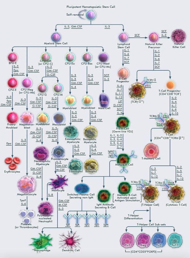Hematopoiesis from Pluripotent Stem Cells Hematopoiesis from Pluripotent Stem Cells