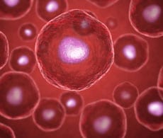 细胞信号转导通路和免疫学相关通路 细胞信号转导通路和免疫学相关通路