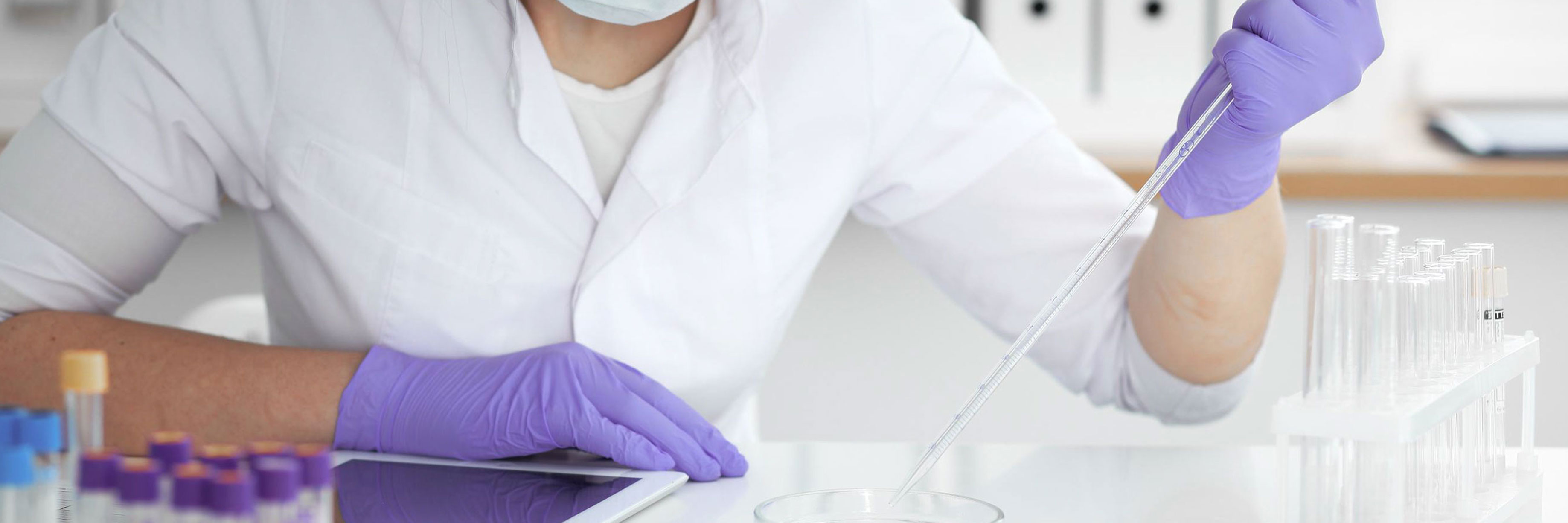 Epigenetics protocols Epigenetics protocols