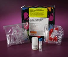 _DyLight-Microscale-Protein-Labeling-Kits-230 _DyLight-Microscale-Protein-Labeling-Kits-230