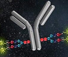 SiteClick抗体标记系统 SiteClick抗体标记系统