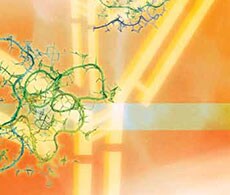 anti-frag-showcasw anti-frag-showcasw