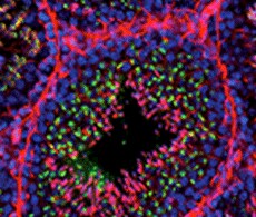 showcase.par.67122.image.180.120.1.s002437-photostability-gif showcase.par.67122.image.180.120.1.s002437-photostability-gif