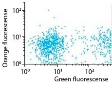 Streptavidin-tamden Streptavidin Phycoerythrin