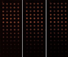 dna-microarray dna-microarray