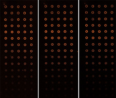 dna-microarray dna-microarray