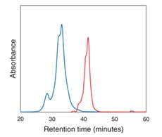 streptavidin-phycoerythrin streptavidin-phycoerythrin