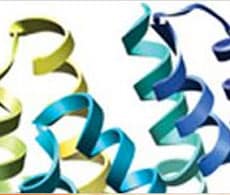 custom-peptide-showcase custom-peptide-showcase