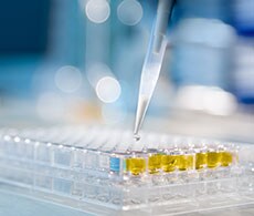 Immunoassay and ELISA Consultative, Custom and Special Services Custom ELISA or Immunoassay services, custom target development. Need help with ELISA when starting a new research project, ELISA bulk orders, ELISA bulk packaging or immunoassay lot reservation