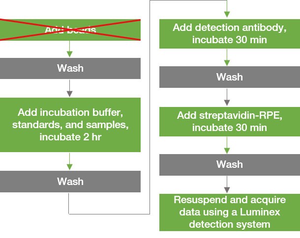 General workflow- lyophilized bead option General workflow- lyophilized bead option