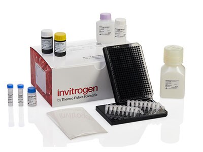 ProcartaPlex 384-well assay with liquid bead option ProcartaPlex 384-well assay with liquid bead option