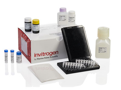ProcartaPlex 384-well assay with liquid bead option ProcartaPlex 384-well assay with liquid bead option