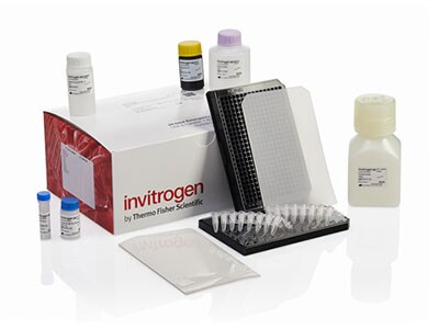 ProcartaPlex 384-well assay with Lyophilized bead option ProcartaPlex 384-well assay with Lyophilized bead option