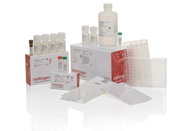 QuantiGene Plex assay kit QuantiGene Plex assay kit