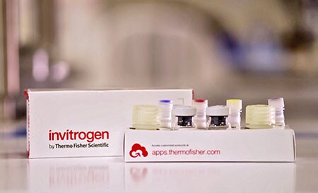 如何运行Invitrogen ProQuantum蛋白定量试剂盒 如何运行Invitrogen ProQuantum蛋白定量试剂盒