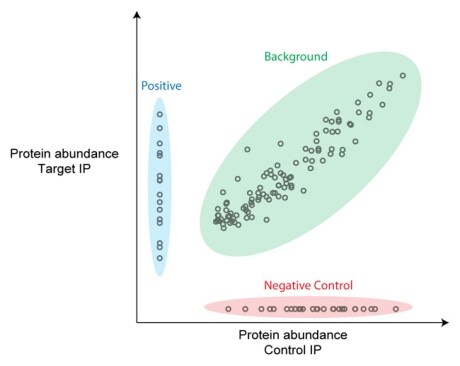 IP-MS(免疫共沉淀质谱联用)实验数据输出 IP-MS(免疫共沉淀质谱联用)实验数据输出